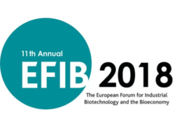 EFIB 2018