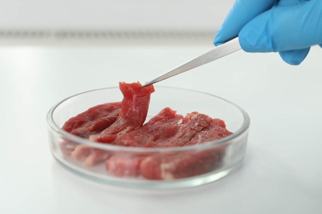 Conception d’une unité de production de protéines animales par culture cellulaire